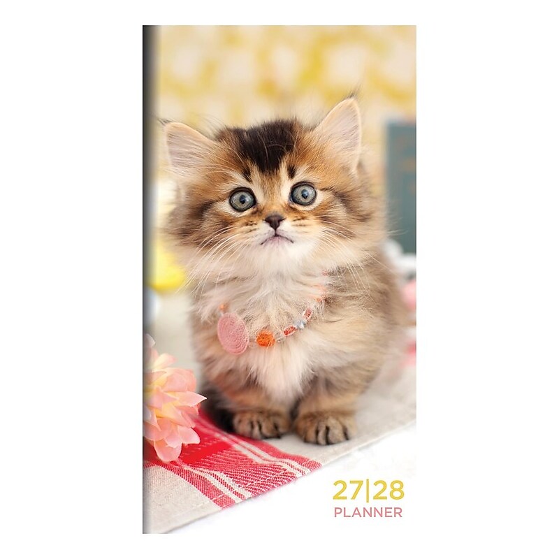 2027 TF Publishing Kitten 3.5" x 6.5" Monthly Standard Planner, Paperboard Cover, Multicolored (27-7022)