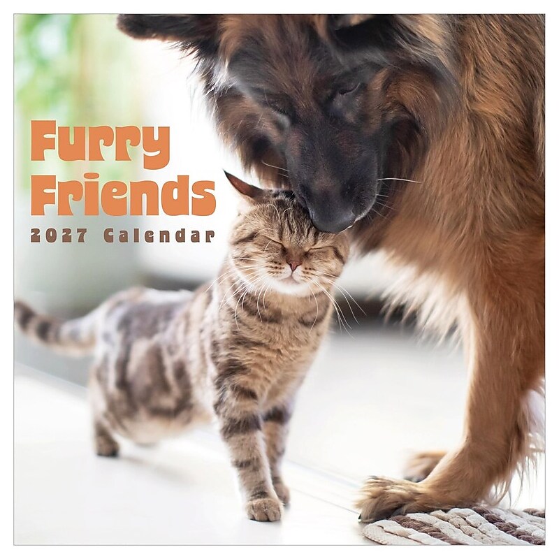 2027 TF Publishing Furry Friends 12" x 12" Monthly Wall Calendar (27-1011)