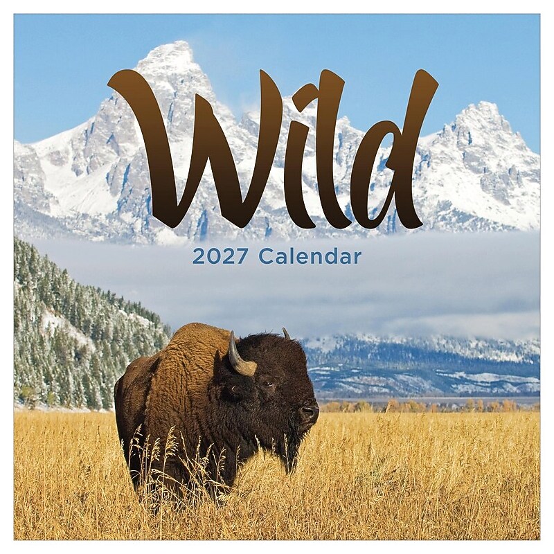 2027 TF Publishing Wild 11" x 12" Monthly Wall Calendar, Multicolored (27-1032)
