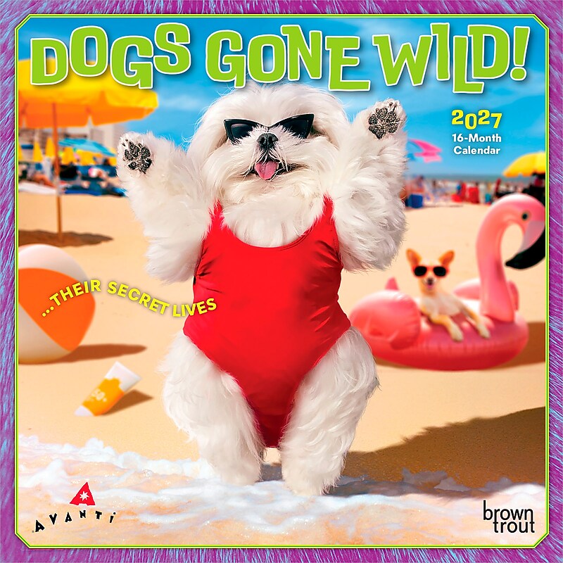 2027 BrownTrout Avanti Dogs Gone Wild 7" x 7" Monthly Wall Calendar, Assorted Colors (9798330712953)