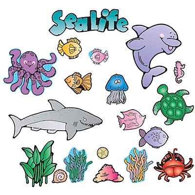 Carson Dellosa Bulletin Board Set Sea Life