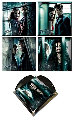 Trend Setters Harry Potter 7 Glass Print Coaster (Set of 4)