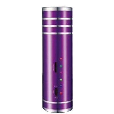 Supersonic 93586113M Portable Rechargeable Speaker With FM Radio Purple