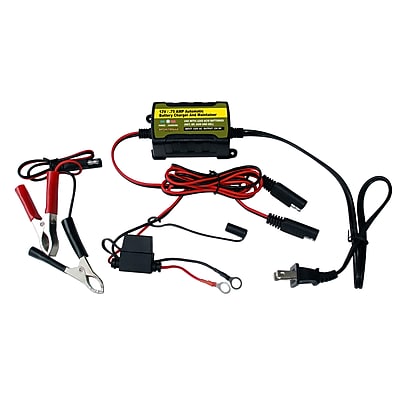 Buffalo Tools Sportsman Automatic Battery Maintainer