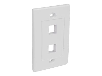 StarTech PLATE2WH Dual Outlet RJ45 Universal Wall Plate