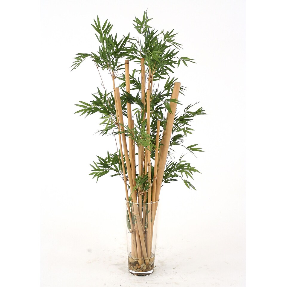 Distinctive Designs Waterlook Silk Leafy Bamboo In Tall Glass