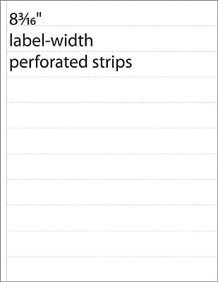 Medical Arts Press Transcription Labels; 1 Perf Strips White 1x8 3 16 1100 Labels 8 1 2 W