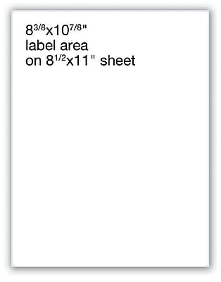 Medical Arts Press Transcription Labels; Quick Peel Sheets White 8 3 8x11 100 Labels 8 1 2 W