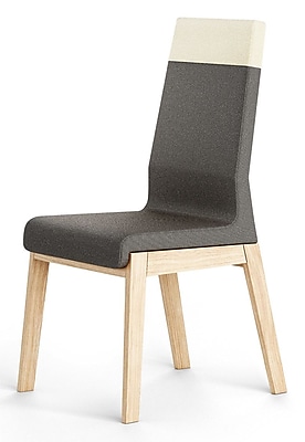 Absynth Kyla Parsons Chair Set of 2 ; Dark Gray