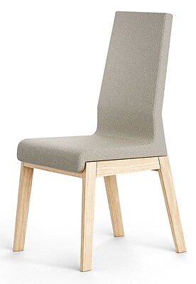 Absynth Kyla Parson Chair Set of 2 ; Light Gray