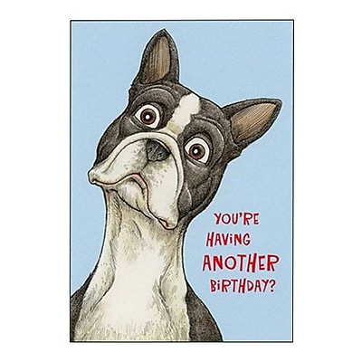 Hallmark Birthday Greeting Card You?re Having Another Birthday? 0250QUH3349