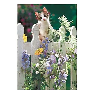 Hallmark Blank Greeting Card 0250QBK1214