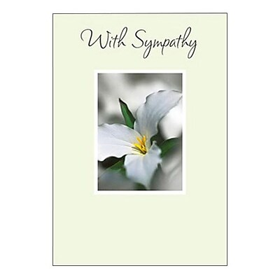 Hallmark Sympathy Greeting Card with Sympathy 0250QSY1904