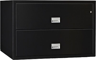 Phoenix Safe International 2 Drawer Fireproof Key Lock File Safe; Black