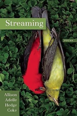 Streaming, Paperback (9781566893756)