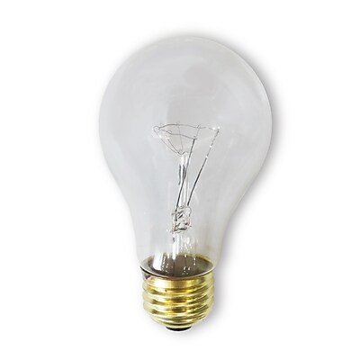 Bulbrite INC A19 60W Dimmable Rough Service Clear 2700K Warm White 12PK 107260