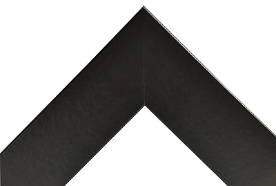 Rayne Mirrors Madilyn Nichole Wide Leather Wall Mounted Bulletin Board; 2 H x 2 W