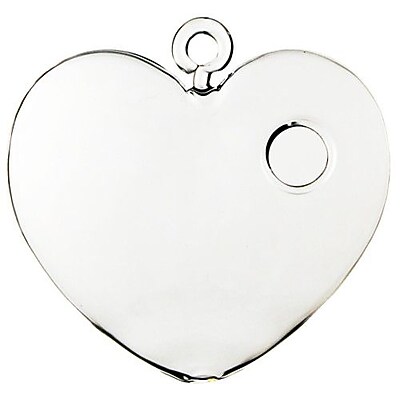 CYSExcel Heart Hanging Terrarium Glass Vase