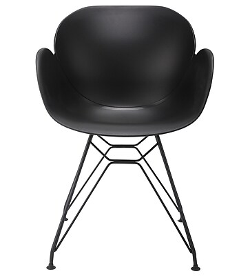 eModern Decor Arm Chair; Black