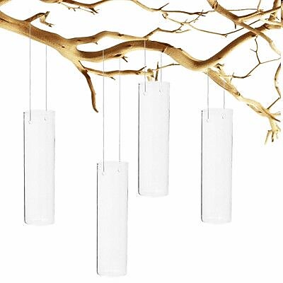 CYSExcel Cylinder Glass Hanging Terrarium (Set of 6)