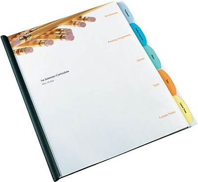 Wilson Jones Report Cover with View Tab Dividers