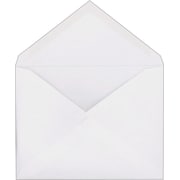 Resume paper and 8x11 envelope