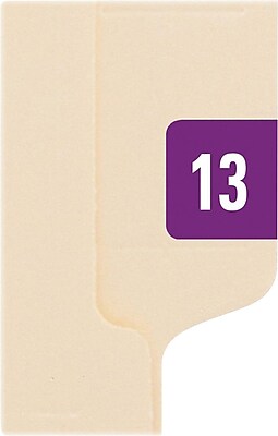 Smead Year 2013 End Tab Folder Labels 1 2 x 1 Purple White 250 Labels Pack