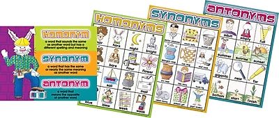 Barker Creek Homonyms, Synonyms and Antonyms Chart Set, 17 x 22