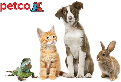 Petco Gift Card 25