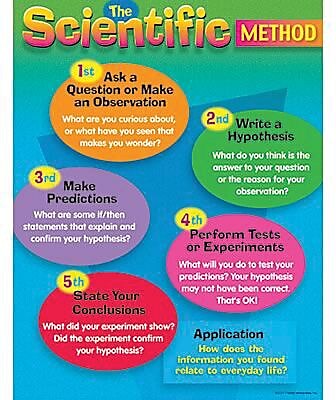 Trend Enterprises The Scientific Method Learning Chart