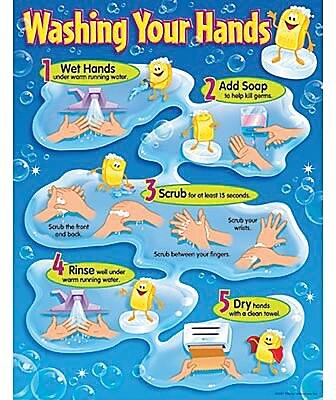 Trend Enterprises Washing Your Hands Learning Chart