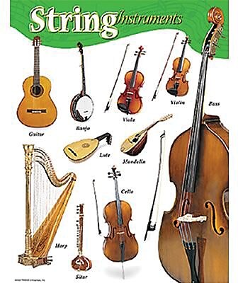 Trend Enterprises String Instruments Learning Chart