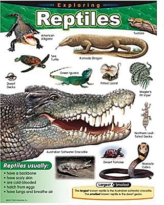 Trend Enterprises Exploring Reptiles Learning Chart