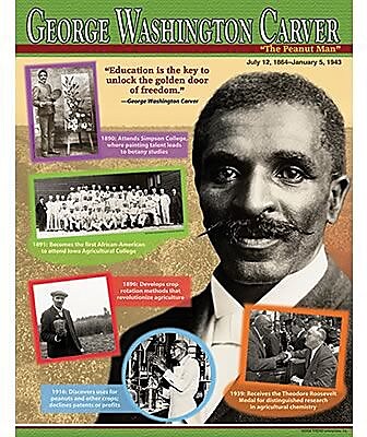 Trend Enterprises George Washington Carver Learning Chart