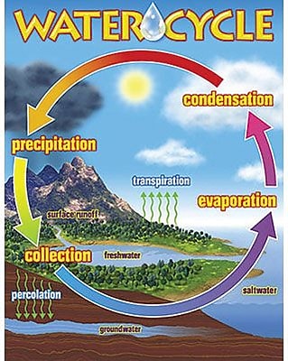 Trend Enterprises The Water Cycle Learning Chart
