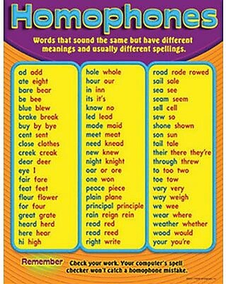 Trend Enterprises Homophones Learning Chart