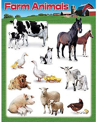 Trend Enterprises Farm Animals Learning Chart
