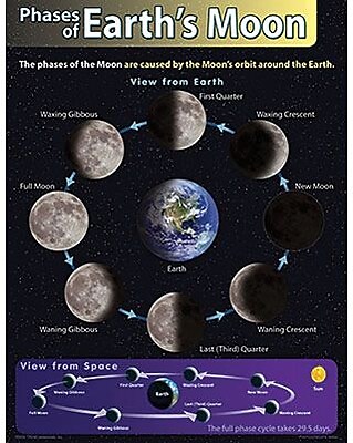 Trend Enterprises Phases of Earth s Moon Learning Chart