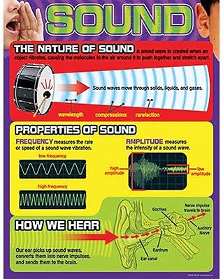 Trend Enterprises Sound Learning Chart Grades 4th 9th