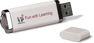 Custom Flash Drives Large Quantity
