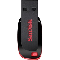 SanDisk Cruzer Blade 32GB USB 2.0 Flash Drive (SDCZ50-032G-A46)