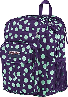 Mint Jansport Backpack