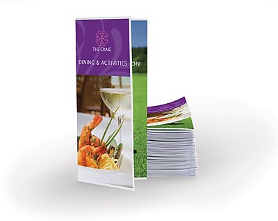 25 Brochures 