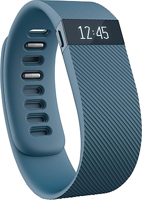 Fitbit Charge Wireless Activity Wristband Large Slate FB404SLLS