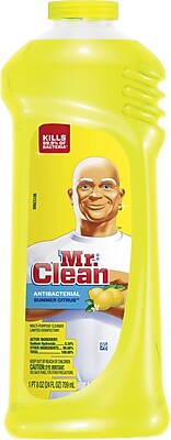 Mr. Clean Multi Surface Antibacterial All Purpose Cleaner 24 oz.