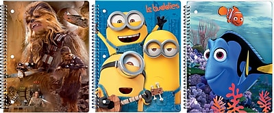 Innovative Designs LLC Assorted Unisex Theme Book Each 9662 MX ST