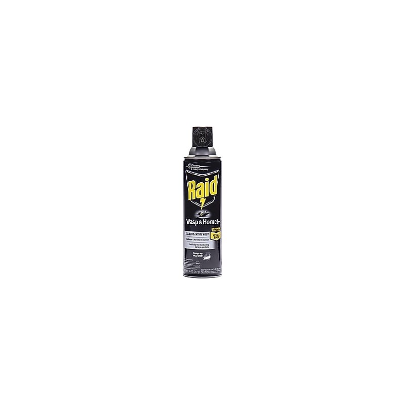 Raid Outdoor Insecticide Aerosol Spray for Wasps & Hornets, 14 oz. (668006)