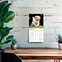 2027 BrownTrout Golden Retriever Puppies 7" x 7" Monthly Wall Calendar, Assorted Colors (9798330710010)~#|#~000EB73F-B0F7-48FD-91CB547663C8870F_sc7