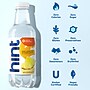 Hint Pineapple Flavored Water, 16 oz., 12/Carton (00129)~#|#~00484EFB-BDB9-41C8-BF1D8D87BC93B41A_sc7