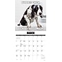 2027 Willow Creek Not So Pawsitive  12" x 12" Monthly Wall Calendar (61572)~#|#~0062718D-FDE7-41D0-9F9D87075CA6ED76_sc7